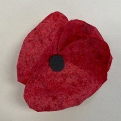 A completed red seed paper poppy with a black centre.