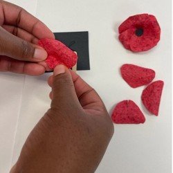 Close-up of a person's hands assembling a red seed paper poppy.