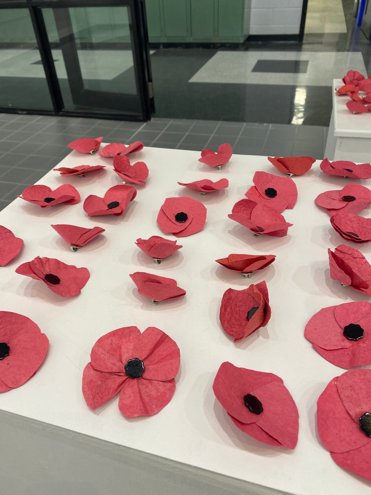 Rows of red seed paper poppies laid out to dry.