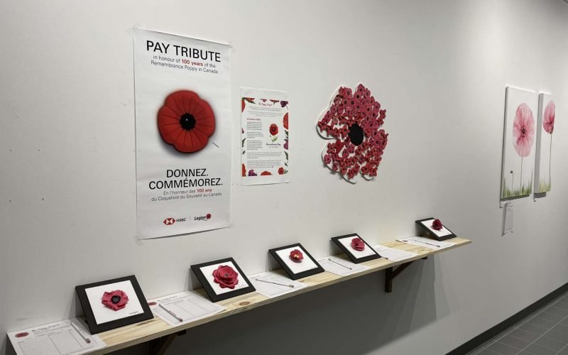 A gallery wall with a bilingual Remembrance poppy centenary poster, a large poppy sculpture made from many small paper poppies, and framed seed paper poppies lined along a wooden ledge.