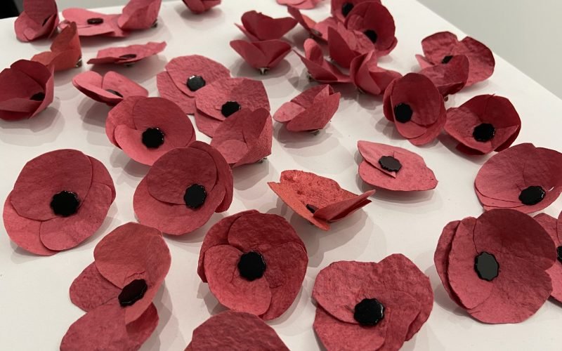 A group of finished red seed paper poppies arranged on a table.