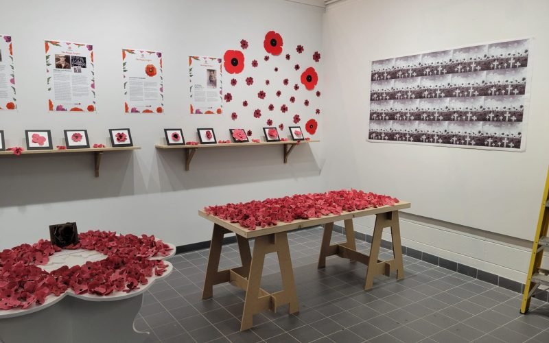 poppy-project-at-fanshawe-scaled